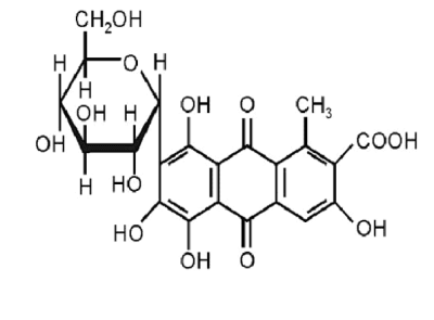 acido carminico 3.jpg